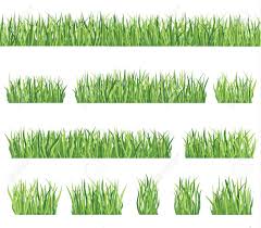 Artificial Grass