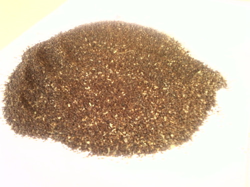 Rama Tulsi (Basil) Seed