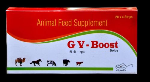 GV-Boost Bolus