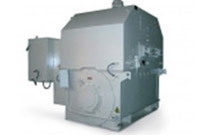 MV & HV Cage Induction Motors