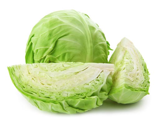 Organic Fresh Cabbage