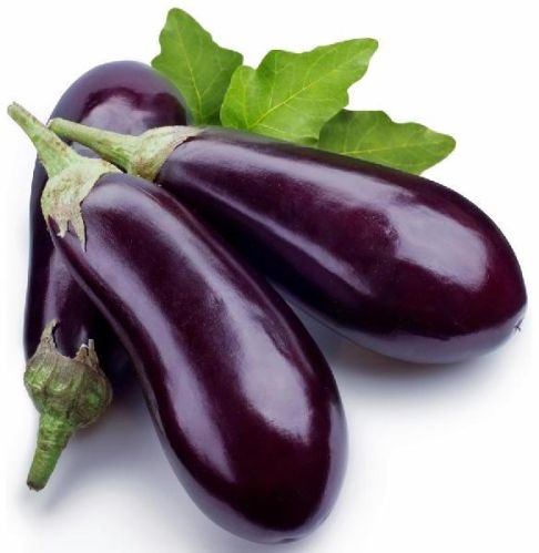 Fresh Brinjal (Kathirikai)