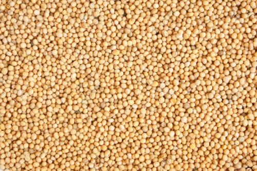 White Mustard Seeds