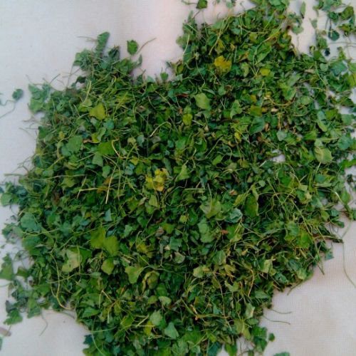 Fresh Fenugreek Leaves