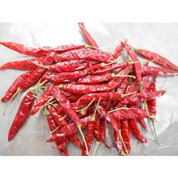 Dry Red Chilli