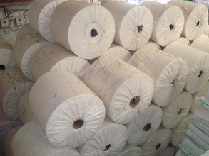 PP Woven Fabrics