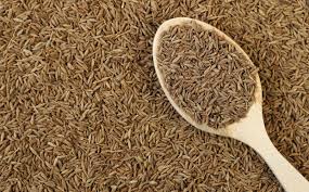 Cumin seeds, Packaging Size : 50kg