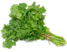 Fresh Coriander Leaves Application : Seasoning For Various Dishes