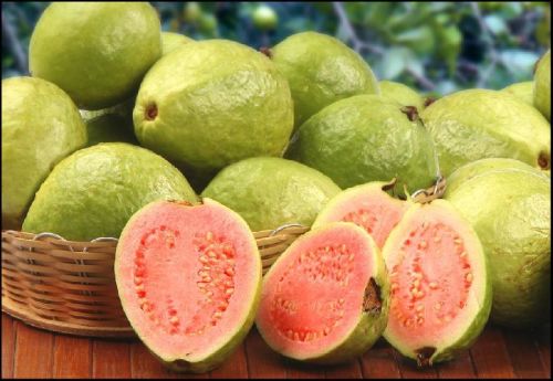 Natural Fresh Guava, For Cooking, Food Medicine, Packaging Type : Plastic Pouch, Plastic Packet, Plastic Box