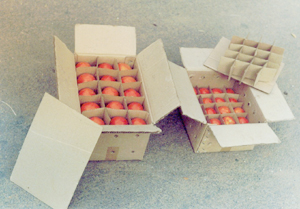 Vegetables Corrugated Boxes