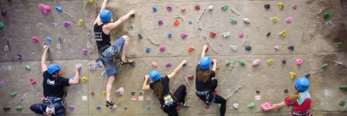 LLDPE Sports Climbing Wall