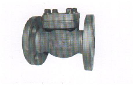 Flanged End Check Valve