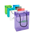 Printed Plastic Bag