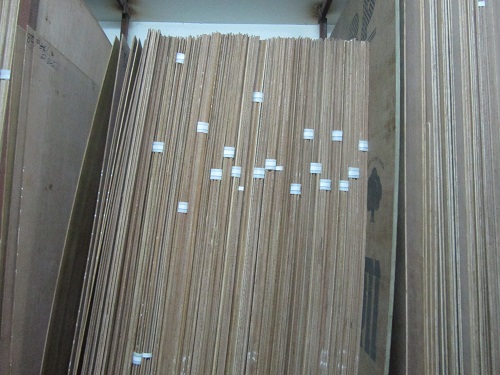 Teak Plywood