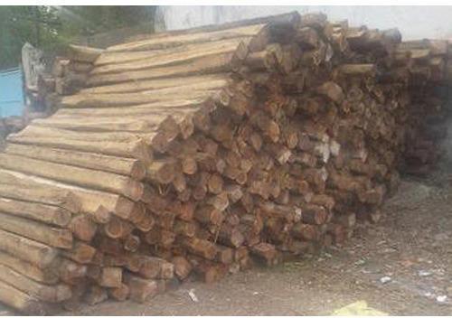 African Teak Wood Square Logs