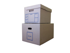 Storage File Boxes