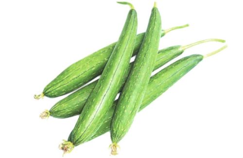 Natural Fresh Sponge Gourd, For Human Consumption, Cooking, Packaging Type : Mesh PP Bag