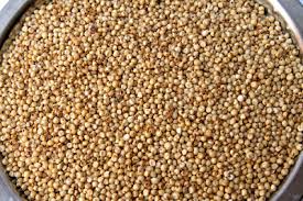 Sorghum Seeds, Packaging Size Available : 400g / 800g