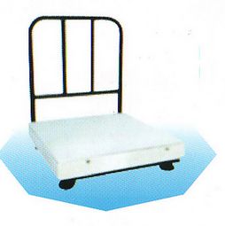 Stainless Steel Platform Weighing Scale