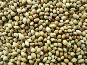 Corriander Seeds