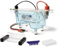 Electrophoresis Apparatus