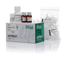 Rna Isolation Kit