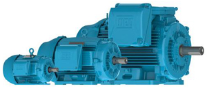Electric Motors, Phase : 2 Phase