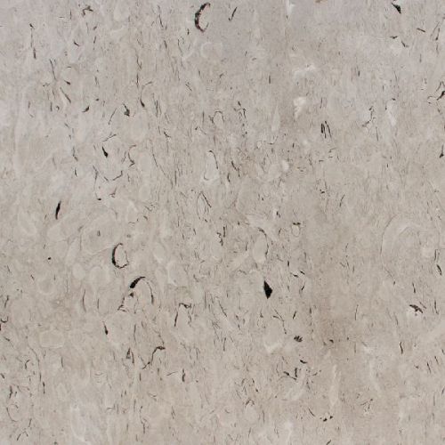 Polished Fossil Grey Marble Stone