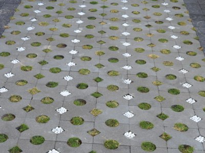 Grass Pavers