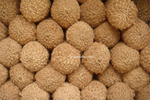 Coir Logs