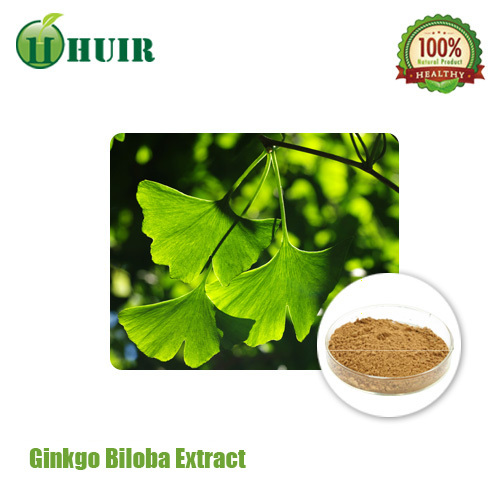CP05 Ginkgo Biloba Leaf Extract