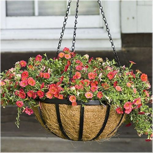 Coir Hanging Basket