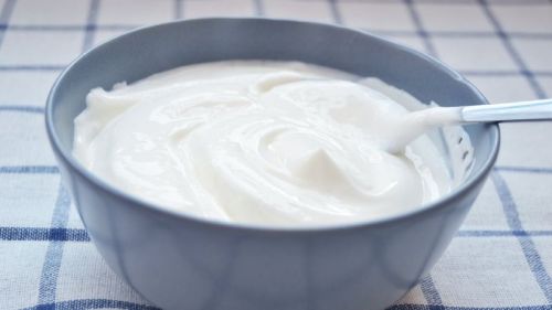 Veg Mayonnaise Sauce