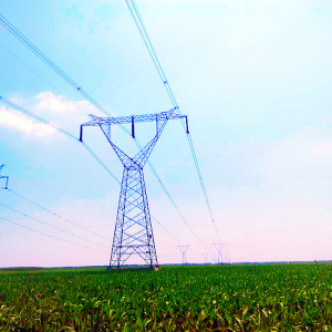 Power Transmission Angle Steel Tower With Single Circuit