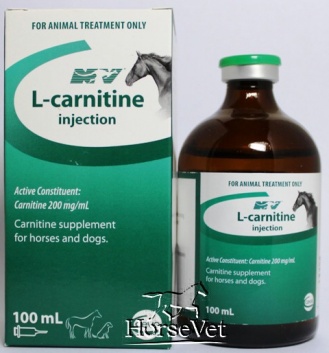 L Carnitine 50ml