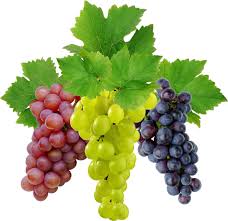 Fresh Grapes