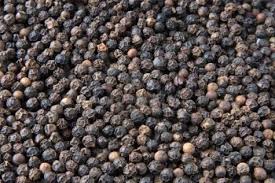 Sun dry Black Peppercorns, Certification : ISO 9000