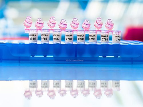 CRYOGENIC LABELS FOR HIGH PROFILE PCR TUBE STRIPS