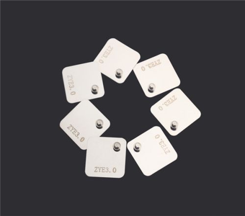 Double Side Guide Pin