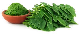 Moringa leaf powder, Packaging Type : Light Green