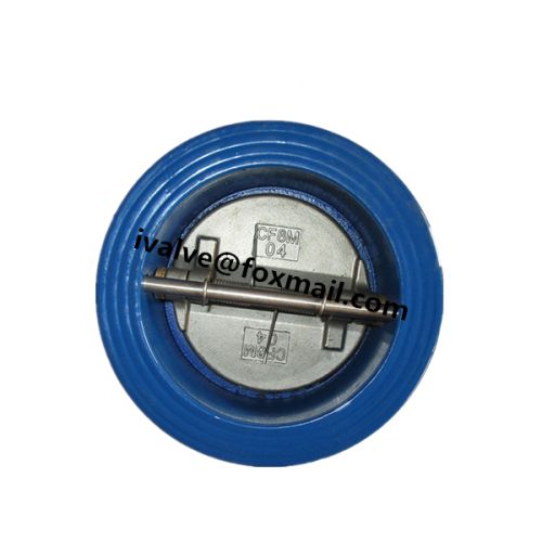 Cast Iron Double Check Valve, Brand Name : CheckValves