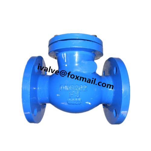 Cast Iron Swing Check Valve, Brand Name : CheckValves