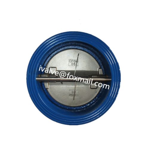 Cast Iron Rubber Seat Check Valve, Brand Name : CheckValves