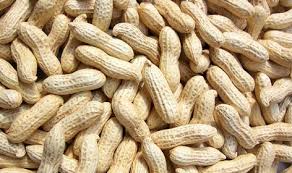 Shelled Peanuts