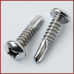 Stainless Steel Screws