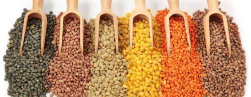 Indian Pulses