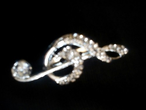 Fashion Brooch