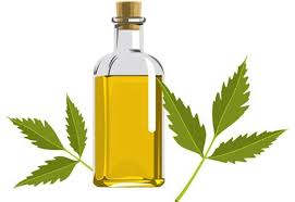 Neem Essential Oil, Form : Liquid