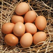 Freerange Brown Eggs