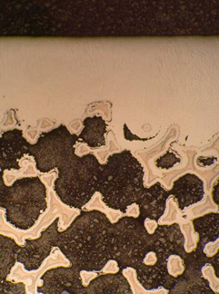 Refractory Open-Cell Foams: Carbon, Ceramic, and Metal